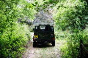 Phalex_0327