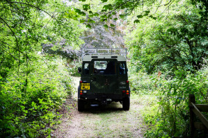 Phalex_0327