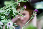 Phalex_0329