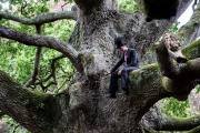 Phalex_0432