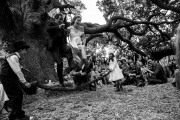 Phalex_0479